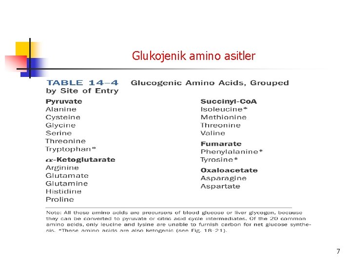 Glukojenik amino asitler 7 