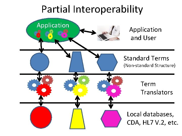 Partial Interoperability Application and User Standard Terms (Non-standard Structure) Term Translators Local databases, CDA,