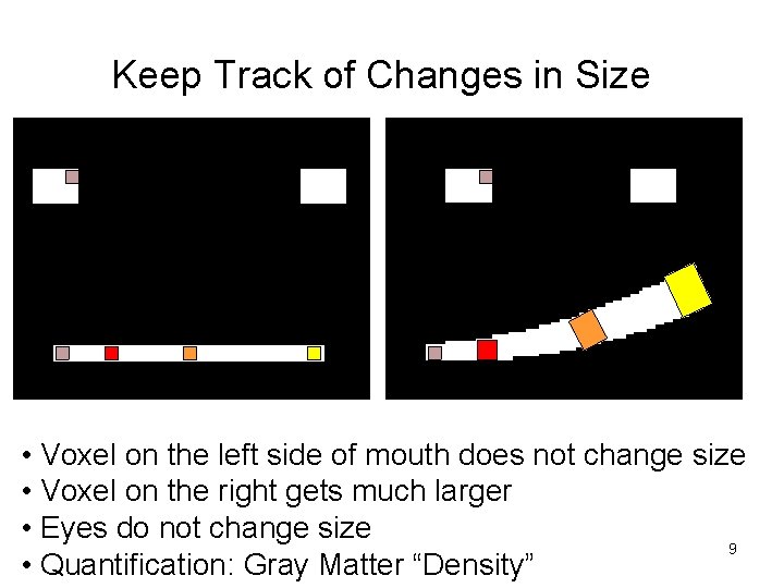 Keep Track of Changes in Size CSF • Voxel on the left side of
