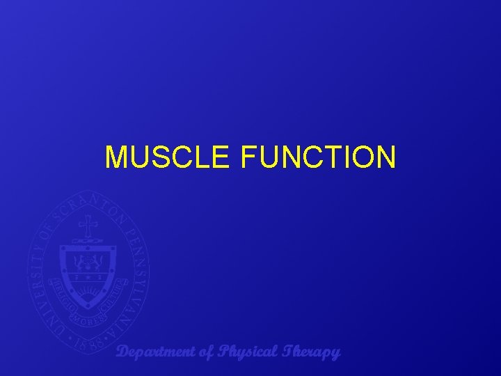 MUSCLE FUNCTION 