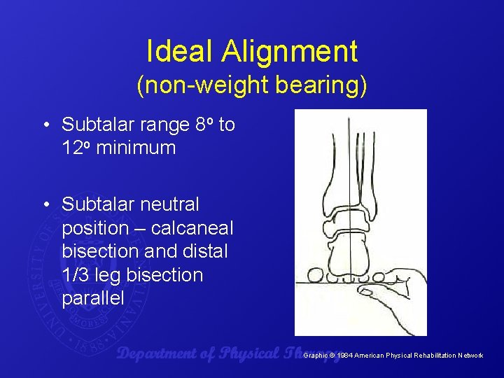 Ideal Alignment (non-weight bearing) • Subtalar range 8 o to 12 o minimum •