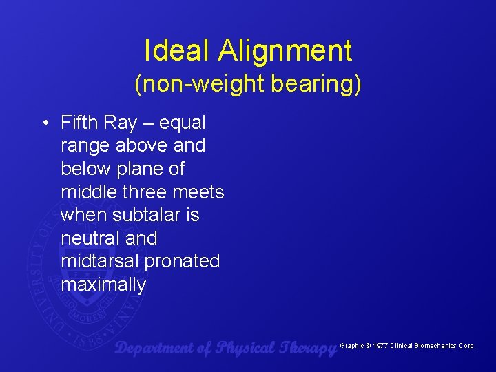 Ideal Alignment (non-weight bearing) • Fifth Ray – equal range above and below plane