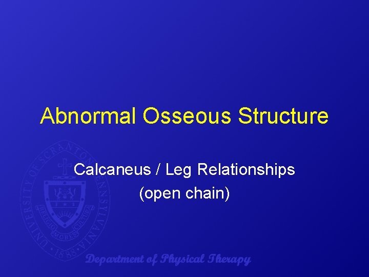 Abnormal Osseous Structure Calcaneus / Leg Relationships (open chain) 