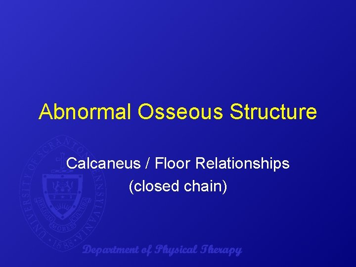 Abnormal Osseous Structure Calcaneus / Floor Relationships (closed chain) 