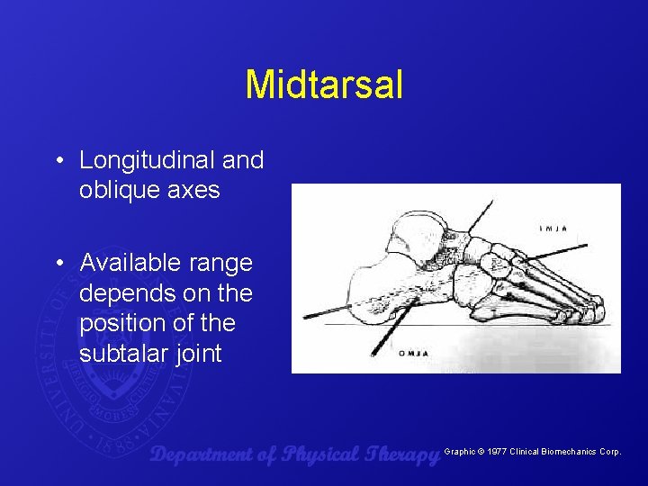 Midtarsal • Longitudinal and oblique axes • Available range depends on the position of