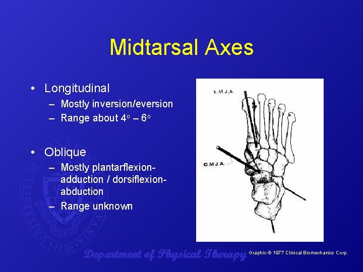 Midtarsal Axes • Longitudinal – Mostly inversion/eversion – Range about 4 o – 6