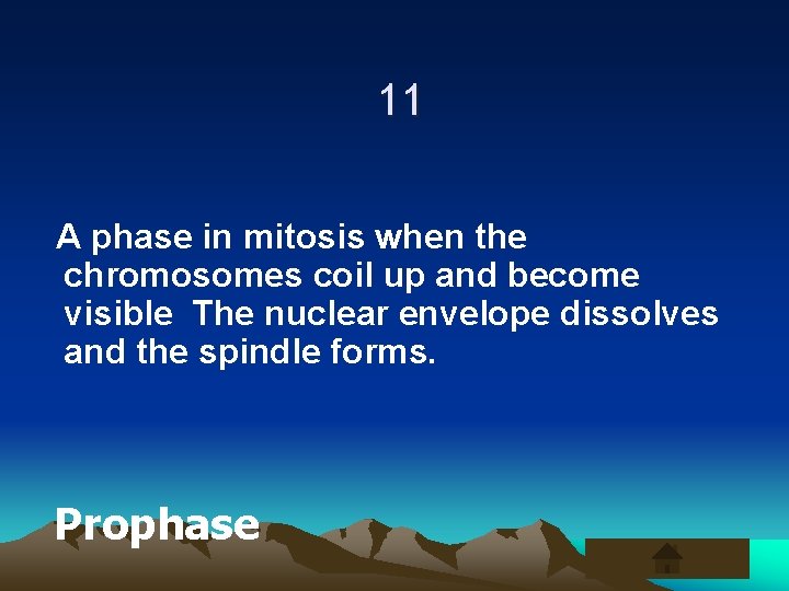 11 A phase in mitosis when the chromosomes coil up and become visible The