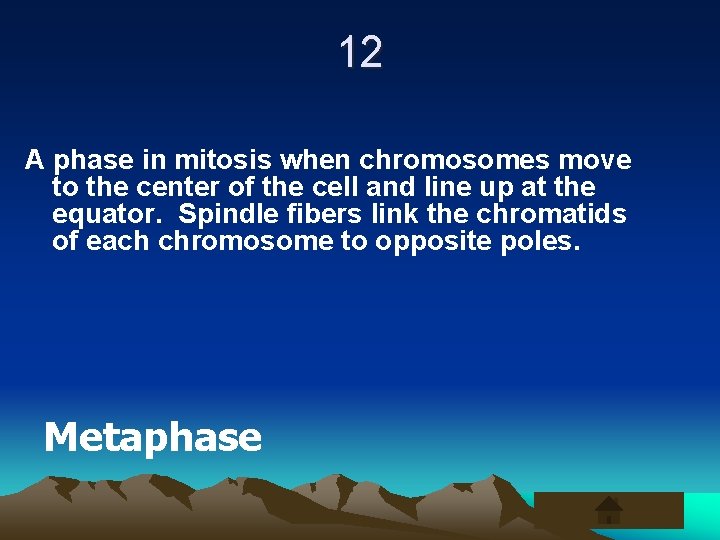 12 A phase in mitosis when chromosomes move to the center of the cell