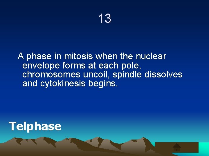 13 A phase in mitosis when the nuclear envelope forms at each pole, chromosomes