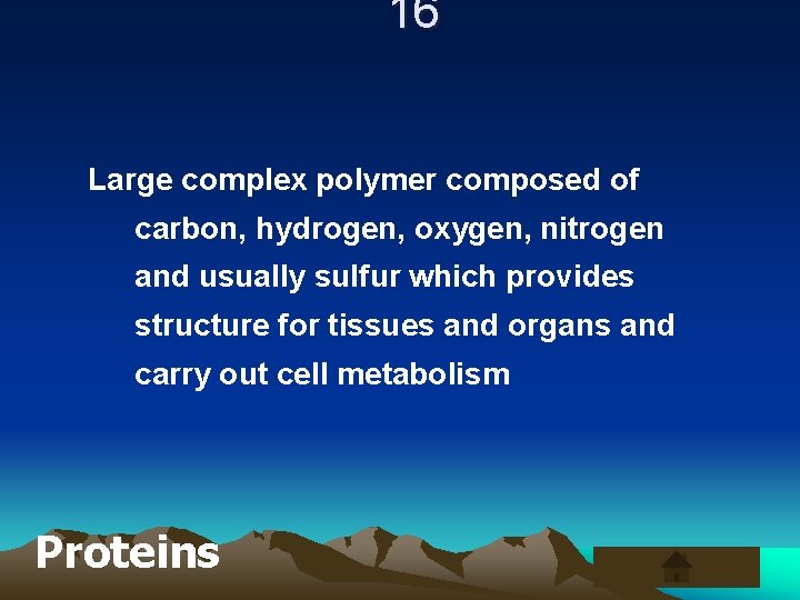 16 Large complex polymer composed of carbon, hydrogen, oxygen, nitrogen and usually sulfur which