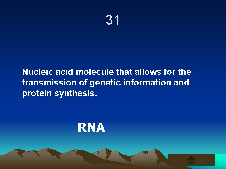 31 Nucleic acid molecule that allows for the transmission of genetic information and protein