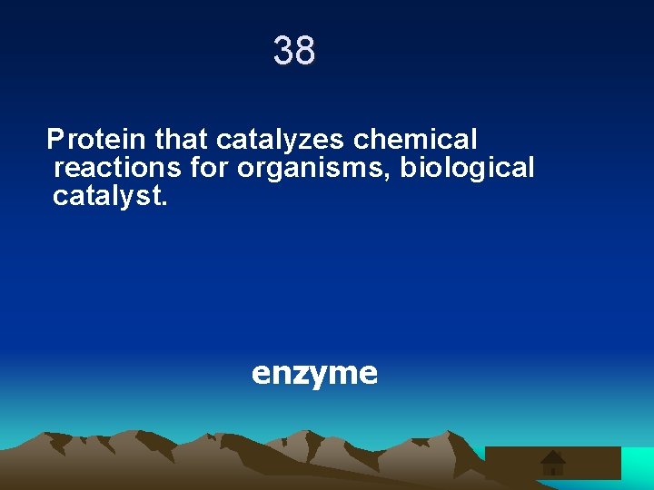 38 Protein that catalyzes chemical reactions for organisms, biological catalyst. enzyme 