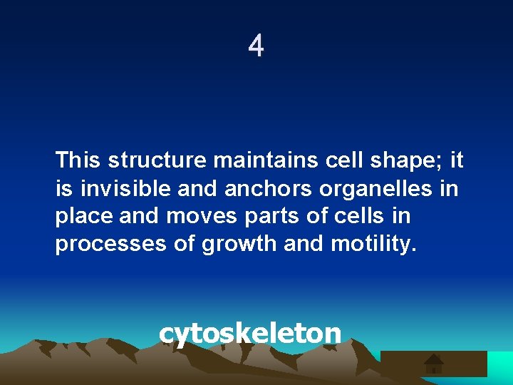 4 This structure maintains cell shape; it is invisible and anchors organelles in place