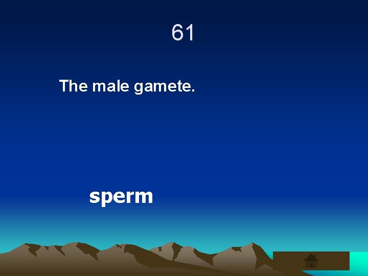 61 The male gamete. sperm 