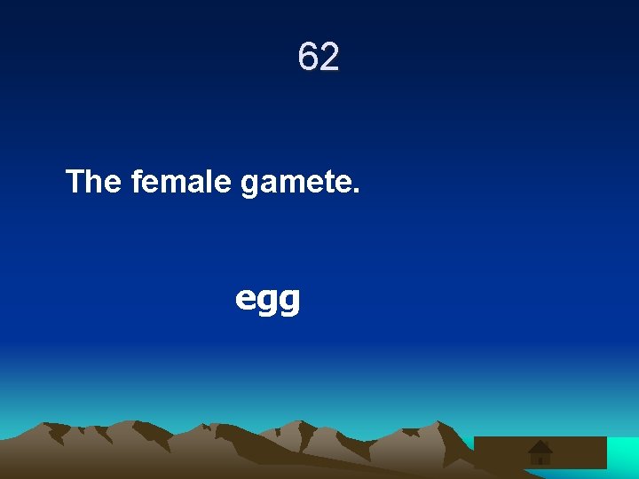 62 The female gamete. egg 