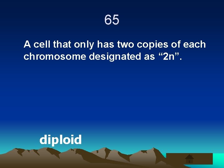 65 A cell that only has two copies of each chromosome designated as “