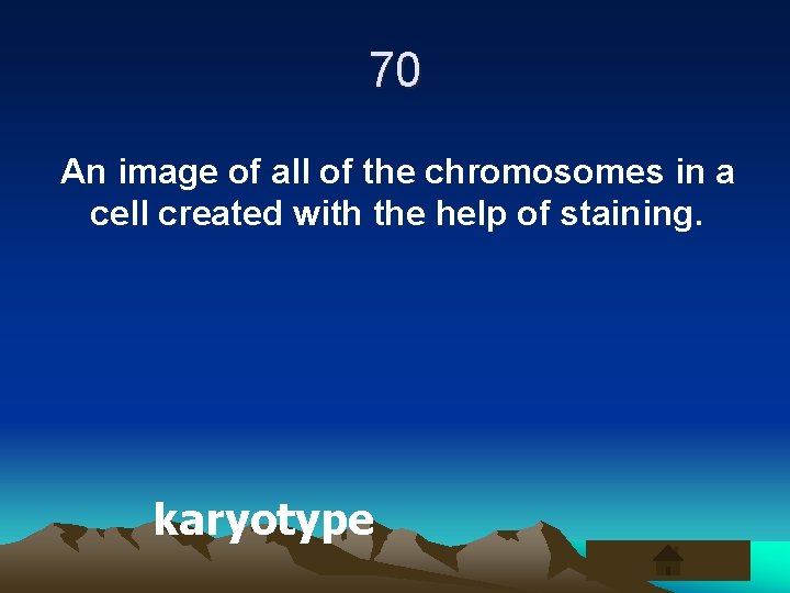 70 An image of all of the chromosomes in a cell created with the