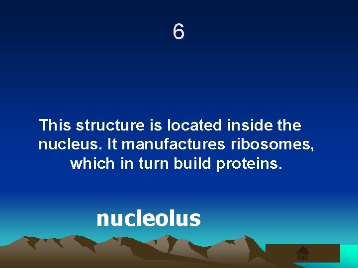 6 This structure is located inside the nucleus. It manufactures ribosomes, which in turn
