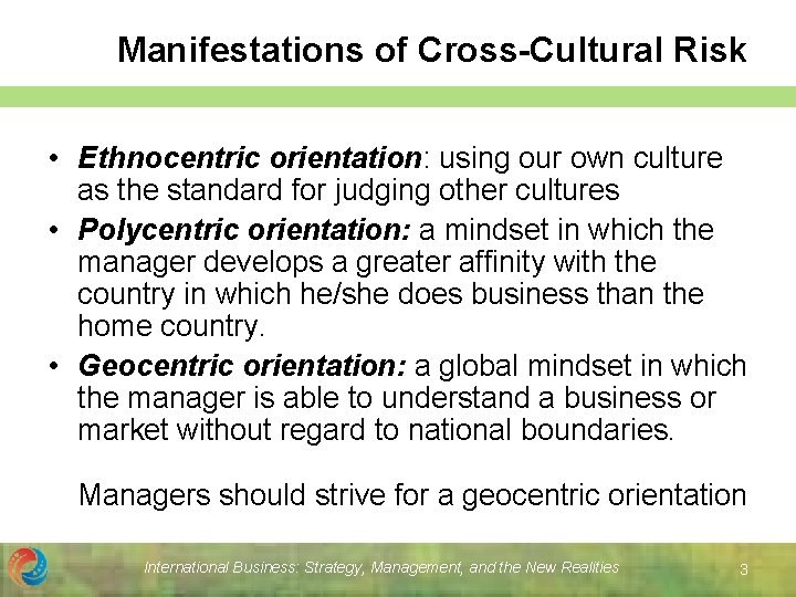 Manifestations of Cross-Cultural Risk • Ethnocentric orientation: using our own culture as the standard