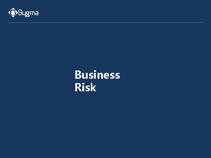 Business Risk 1 