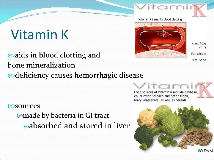 Vitamin K aids in blood clotting and bone mineralization deficiency causes hemorrhagic disease sources