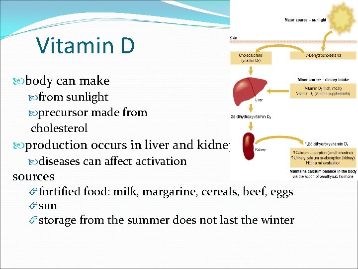 Vitamin D body can make from sunlight precursor made from cholesterol production occurs in