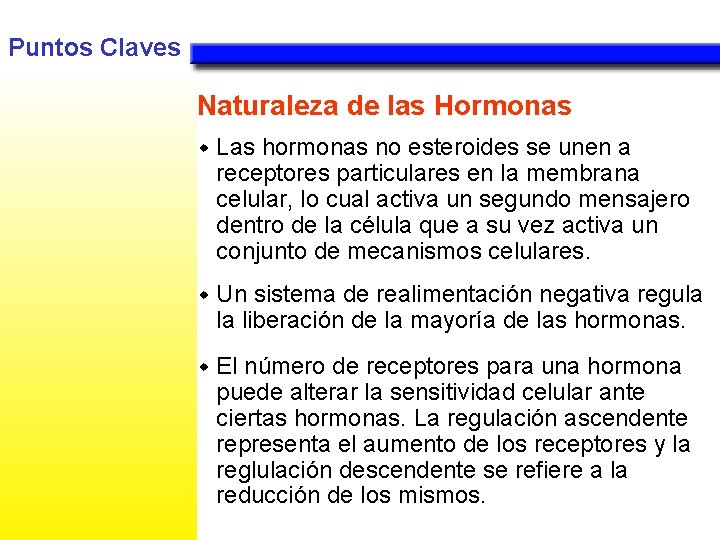 Puntos Claves Naturaleza de las Hormonas w Las hormonas no esteroides se unen a