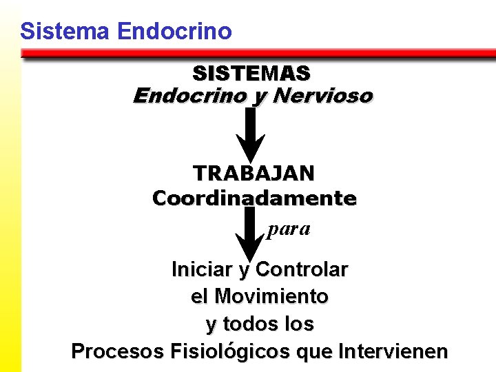 Sistema Endocrino SISTEMAS Endocrino y Nervioso TRABAJAN Coordinadamente para Iniciar y Controlar el Movimiento