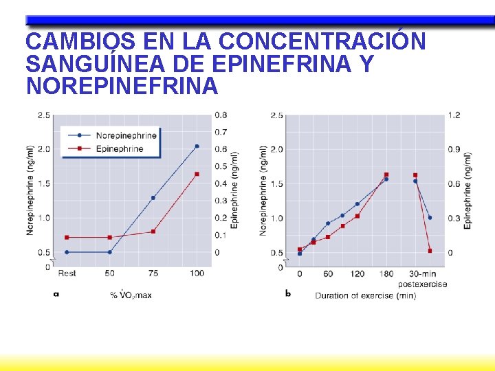 CAMBIOS EN LA CONCENTRACIÓN SANGUÍNEA DE EPINEFRINA Y NOREPINEFRINA 