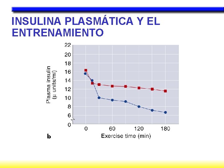 INSULINA PLASMÁTICA Y EL ENTRENAMIENTO 