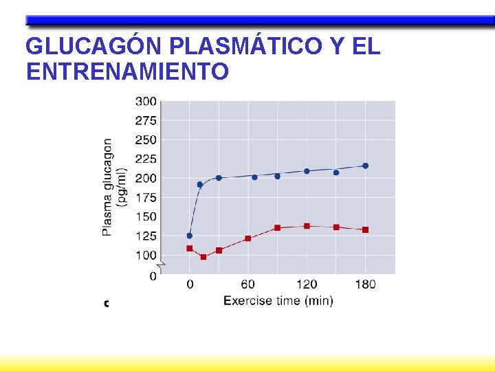 GLUCAGÓN PLASMÁTICO Y EL ENTRENAMIENTO 