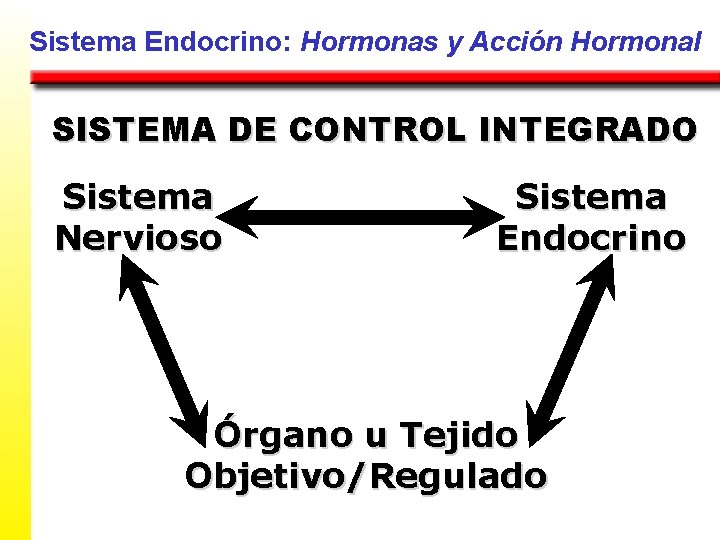 Sistema Endocrino: Hormonas y Acción Hormonal SISTEMA DE CONTROL INTEGRADO Sistema Nervioso Sistema Endocrino
