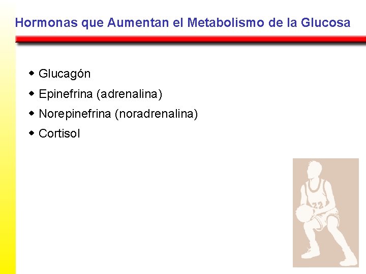 Hormonas que Aumentan el Metabolismo de la Glucosa w Glucagón w Epinefrina (adrenalina) w