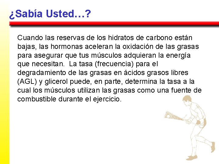 ¿Sabía Usted…? Cuando las reservas de los hidratos de carbono están bajas, las hormonas