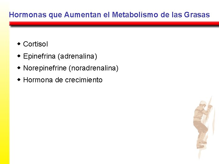 Hormonas que Aumentan el Metabolismo de las Grasas w Cortisol w Epinefrina (adrenalina) w