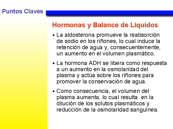 Puntos Claves Hormonas y Balance de Líquidos w La aldosterona promueve la reabsorción de