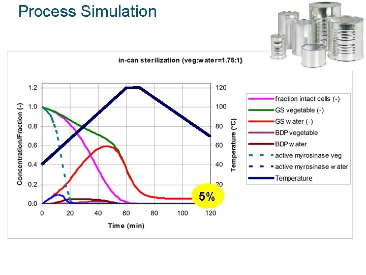 Process Simulation 5% 