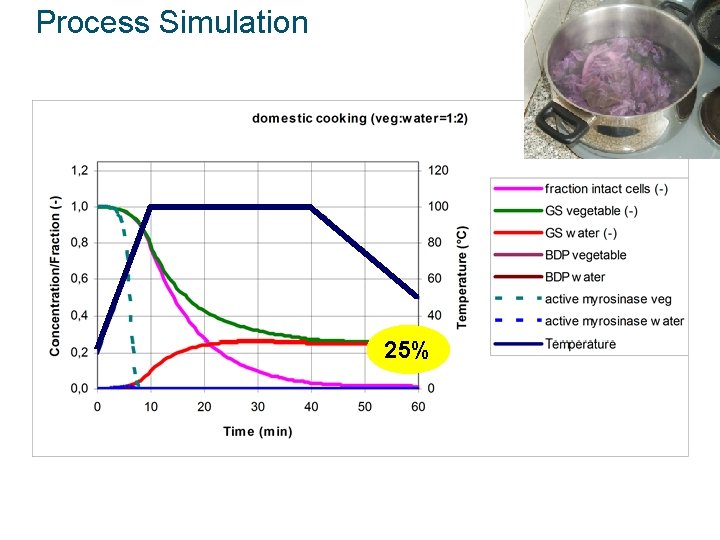 Process Simulation 25% 