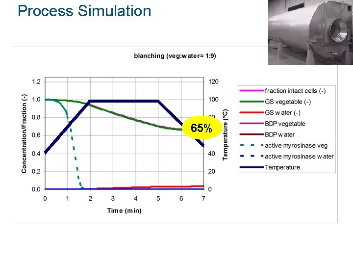 Process Simulation 65% 