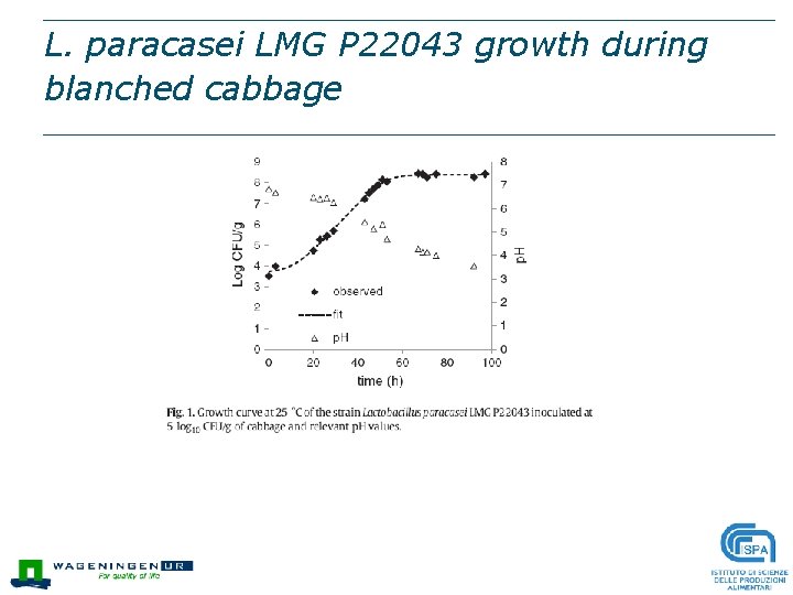 L. paracasei LMG P 22043 growth during blanched cabbage 