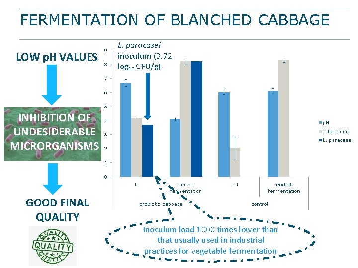 FERMENTATION OF BLANCHED CABBAGE LOW p. H VALUES L. paracasei inoculum (3. 72 log