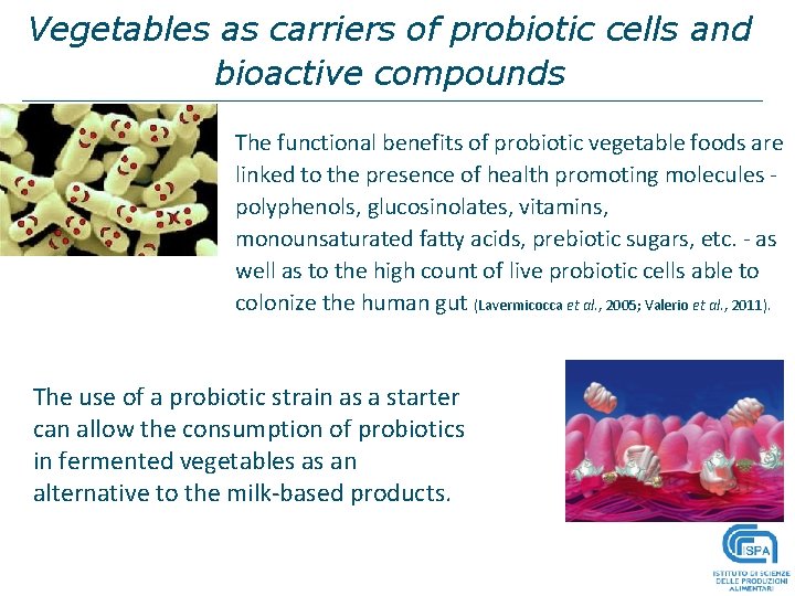 Vegetables as carriers of probiotic cells and bioactive compounds The functional benefits of probiotic