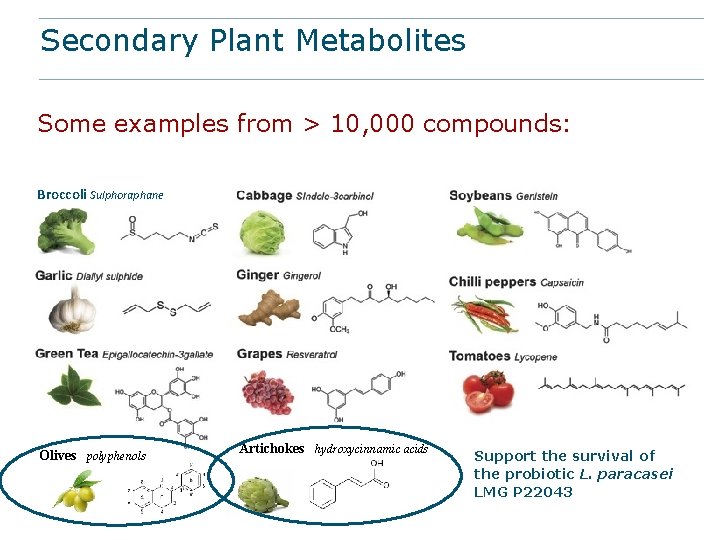Secondary Plant Metabolites Some examples from > 10, 000 compounds: Broccoli Sulphoraphane Olives polyphenols