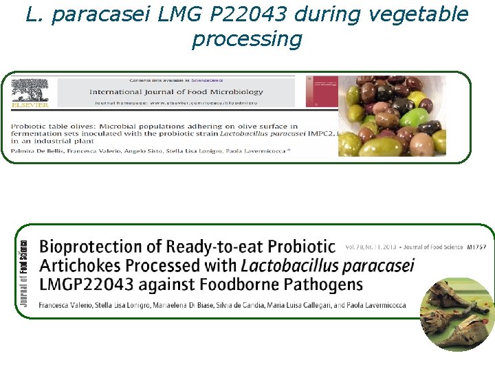 L. paracasei LMG P 22043 during vegetable processing 