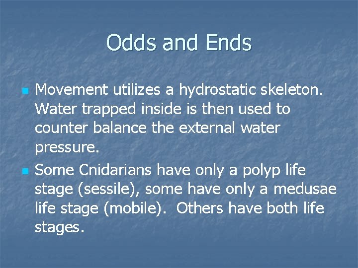 Odds and Ends n n Movement utilizes a hydrostatic skeleton. Water trapped inside is