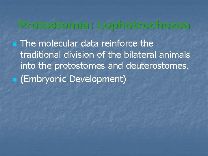 Protostomia: Lophotrochozoa n n The molecular data reinforce the traditional division of the bilateral