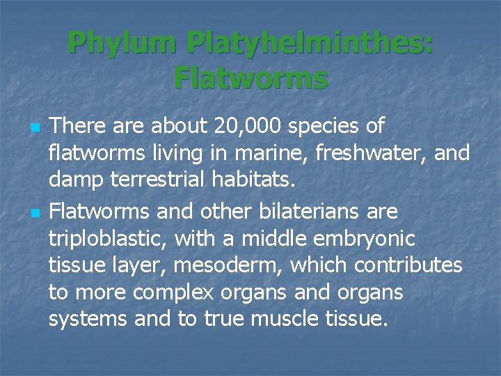 Phylum Platyhelminthes: Flatworms n n There about 20, 000 species of flatworms living in