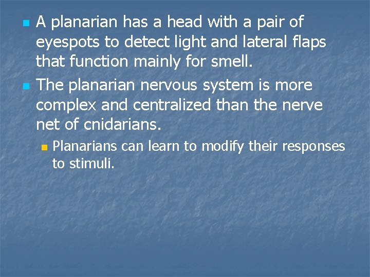 n n A planarian has a head with a pair of eyespots to detect