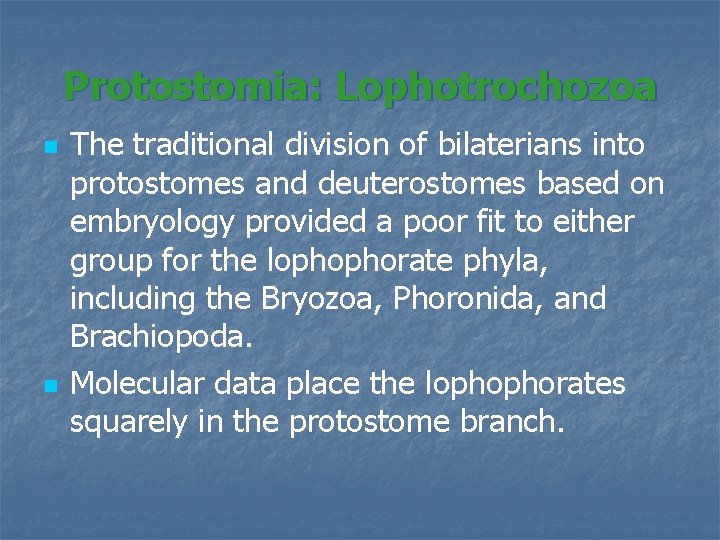 Protostomia: Lophotrochozoa n n The traditional division of bilaterians into protostomes and deuterostomes based