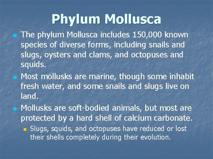 Phylum Mollusca n n n The phylum Mollusca includes 150, 000 known species of